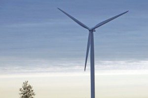 Wind power farm