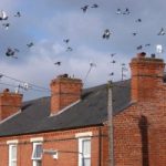 Terraced houses